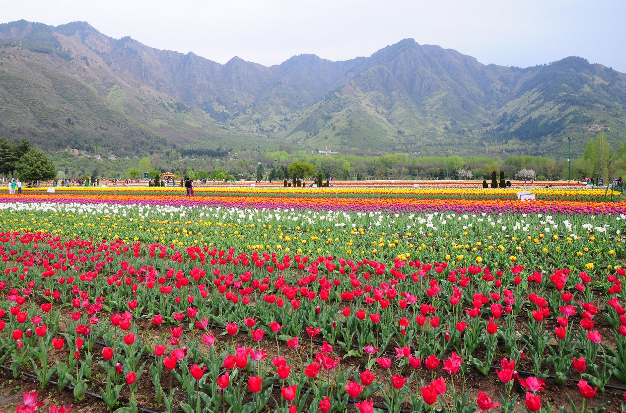 莫臥兒宮廷花園